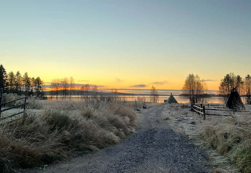 Rovaniemi: Autumn Husky Ride on Wheels - Walking to the husky farm