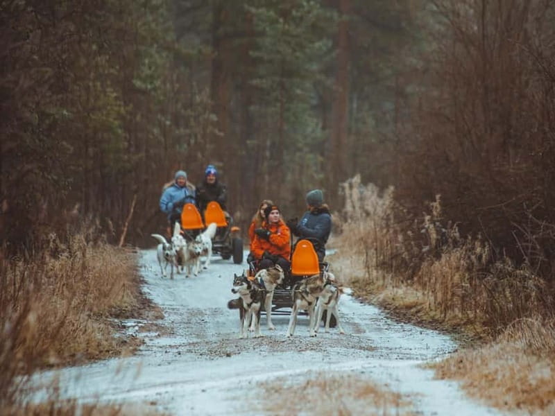Rovaniemi: Autumn Husky Ride on Wheels - The 3-kilometer run through fields and forests