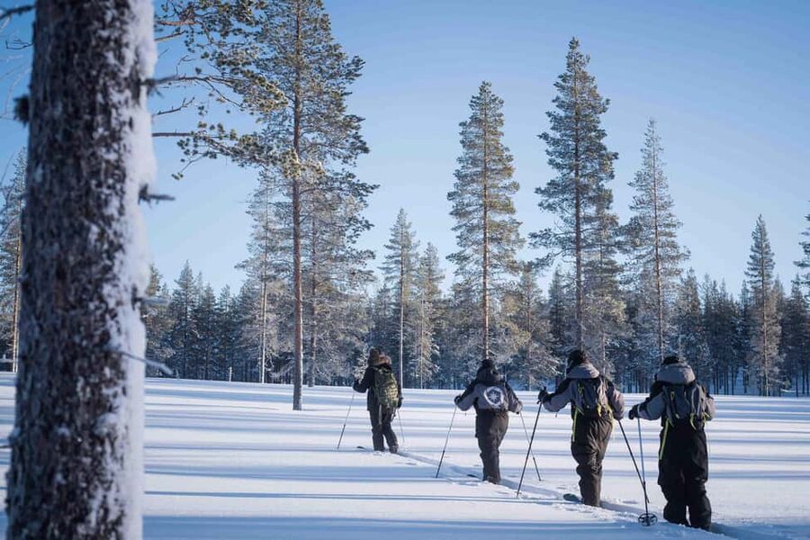 Rovaniemi: Backcountry Skiing Adventure - Leaving Rovaniemi for the Forest