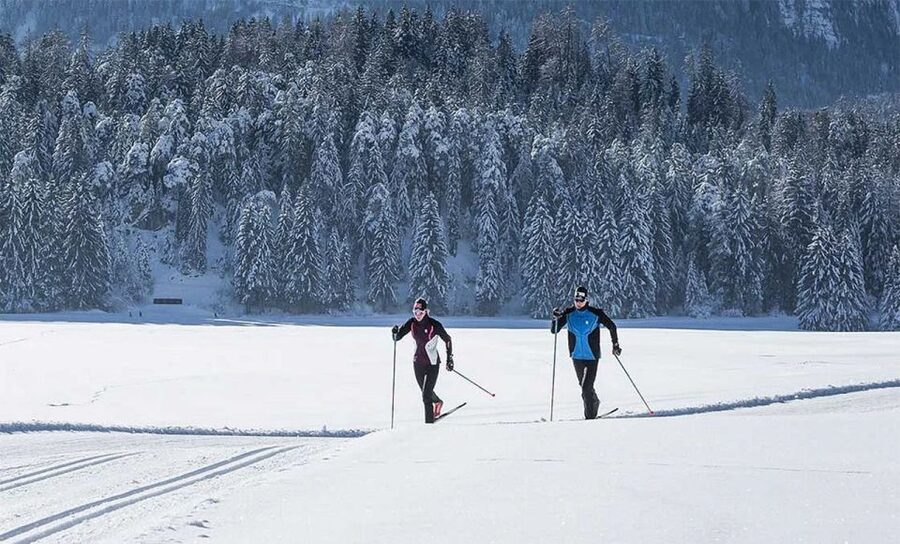 Rovaniemi: Cross Country Wilderness Ski Adventure - Key points before you book