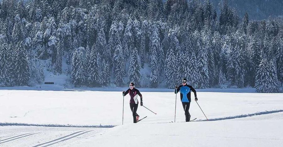 Rovaniemi: Cross Country Wilderness Ski Adventure - The appeal of Ounasvaara in winter
