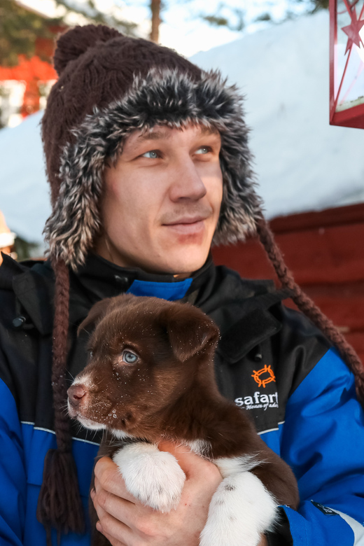 Rovaniemi: Daytime Husky Safari - Key Points At a Glance
