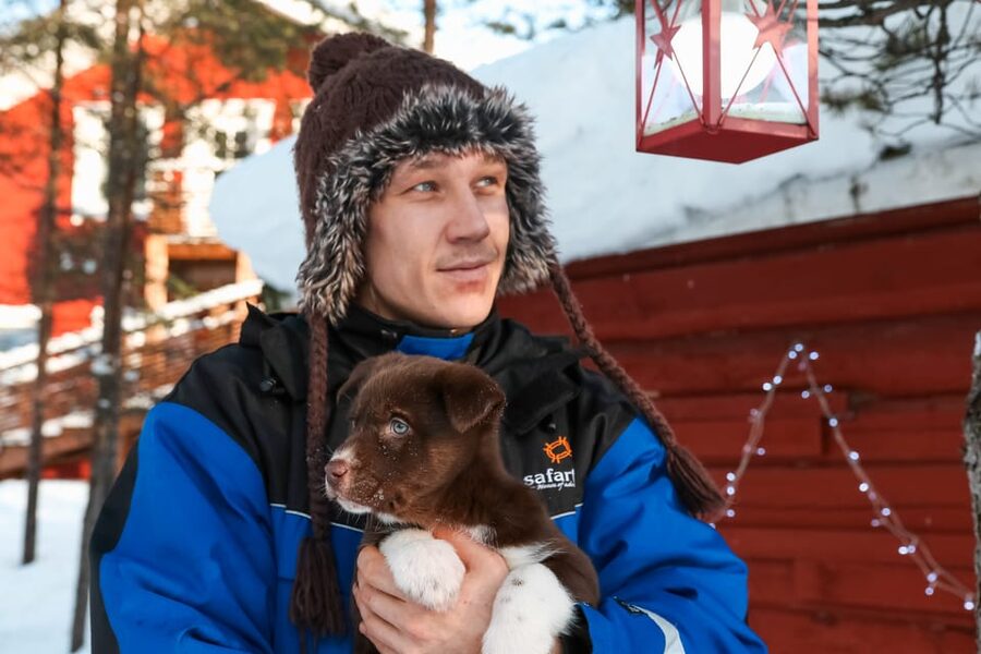 Rovaniemi: Daytime Husky Safari - Learning to Mush Your Own Sled