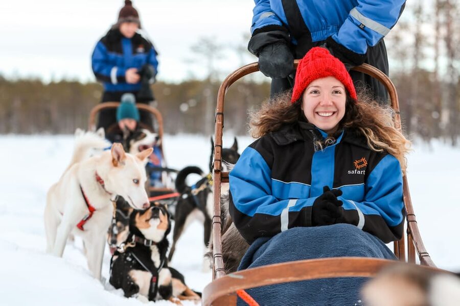 Rovaniemi: Daytime Husky Safari - Hot Berry Drinks, Biscuits, and Husky Stories