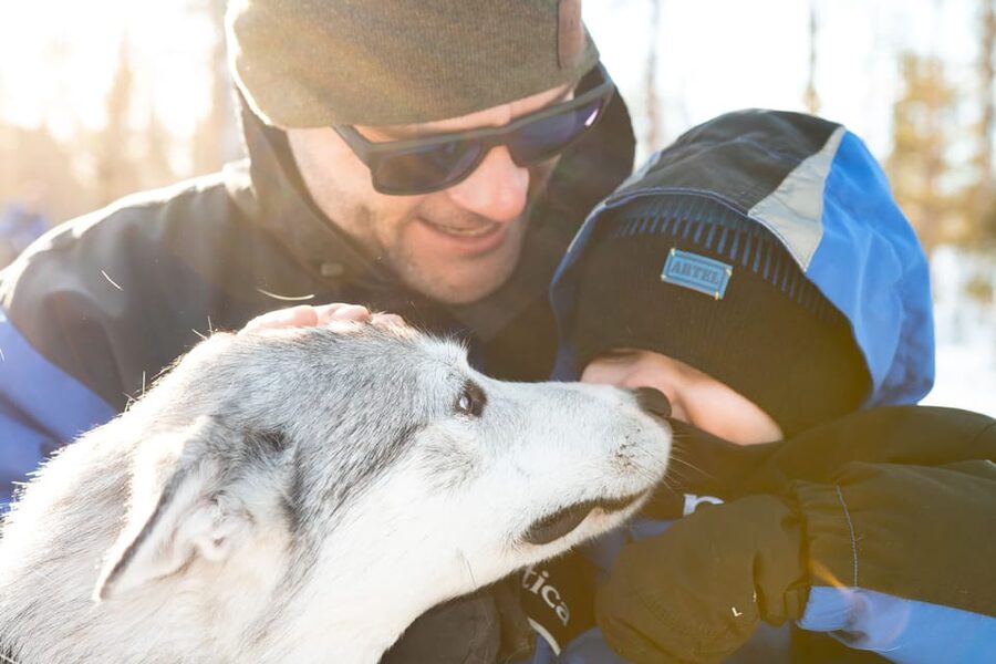 Rovaniemi: Daytime Husky Safari - Cold Weather, Group Size, and Other Practical Points