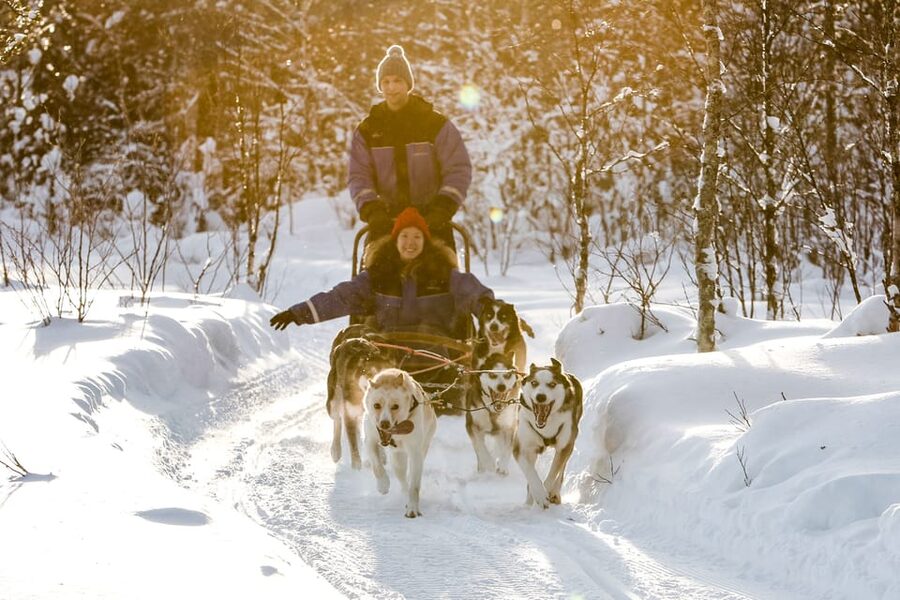 Rovaniemi: Daytime Husky Safari - Meeting the Alaskan Huskies Before the Run