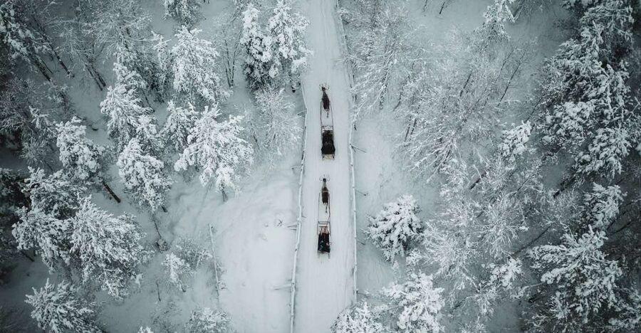 Rovaniemi: Daytime Reindeer Sleigh Ride - Why this short Rovaniemi outing works