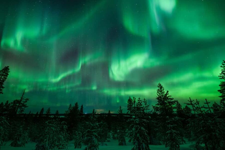 Rovaniemi: Discover the Northern Lights Photography Tour - Cold, timing, and the practical side of the night