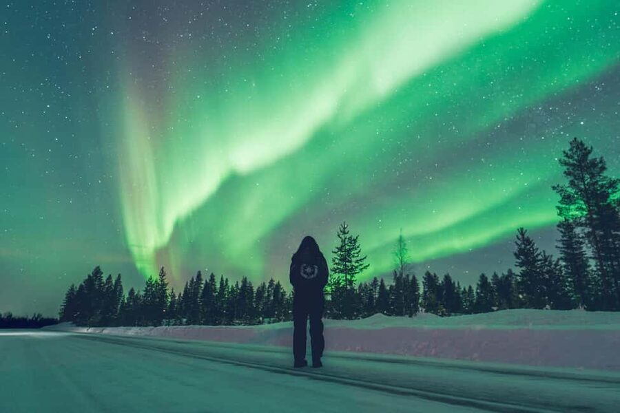Rovaniemi: Discover the Northern Lights Photography Tour - Stop two: a longer camp in the woods