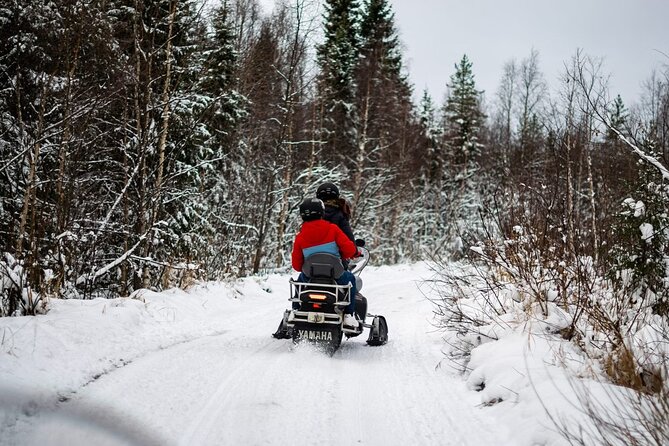 Rovaniemi: Drive New 2025 Snowmobiles on Arctic Safari & BBQ - Key points before you book