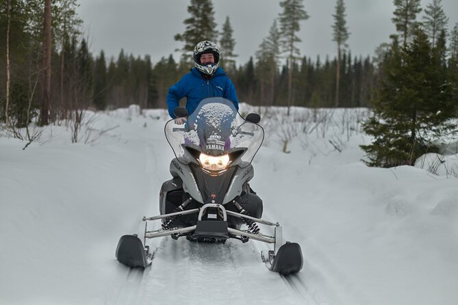 Rovaniemi: Drive New 2025 Snowmobiles on Arctic Safari & BBQ - From central Rovaniemi to the Arctic riding grounds