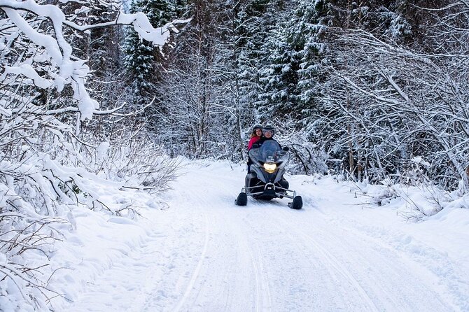 Rovaniemi: Drive New 2025 Snowmobiles on Arctic Safari & BBQ - One hour behind the handlebars