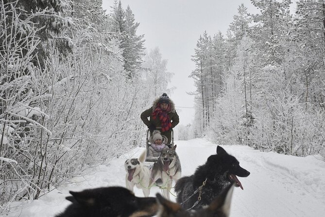 Rovaniemi: Drive Your Own Husky Team (6–10 km) & BBQ - Guides who make the activity work