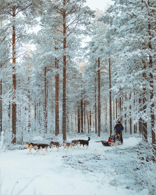 Rovaniemi: Early Winter Husky Sled Ride - Getting Dressed for Arctic Conditions