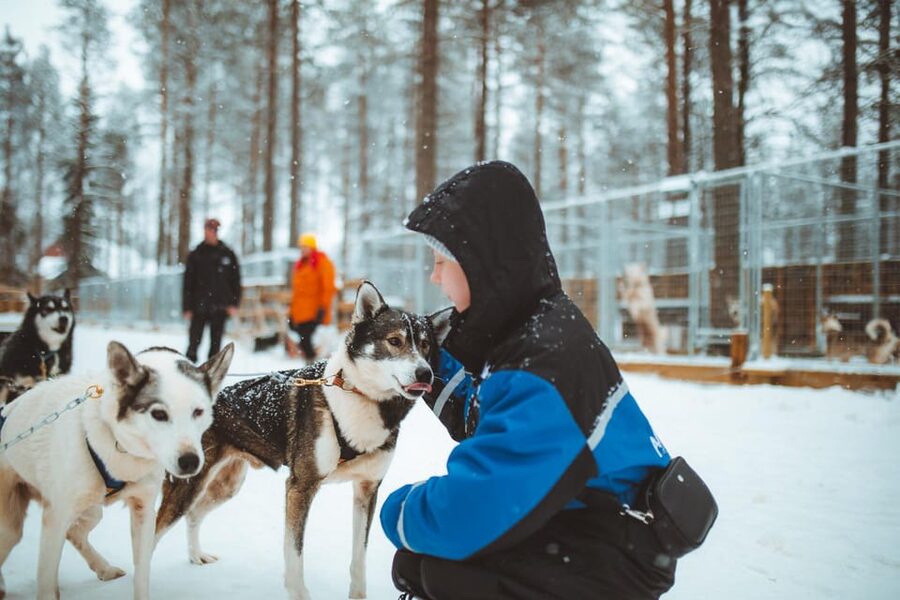 Rovaniemi: Early Winter Husky Sled Ride - Arriving at Apukka Resort and the Husky Farm