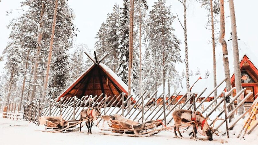 Rovaniemi: excursion to Santa Clause Holliday Village - Practical timing and cancellation advice