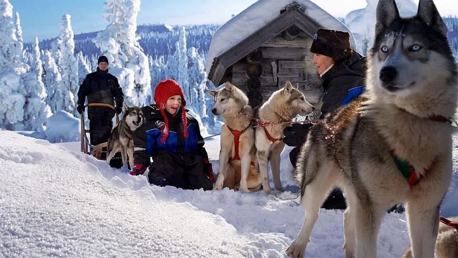 Rovaniemi: Family Friendly Husky Ride and Farm Visit - Key points to know before booking