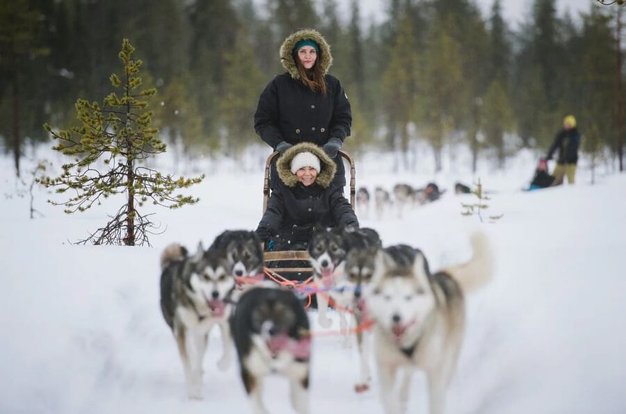 Rovaniemi: Family Friendly Husky Ride and Farm Visit - Final verdict: book it for the dogs, not the distance