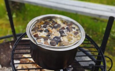 Rovaniemi forest foraging adventure: Pick, Prepare, Savor