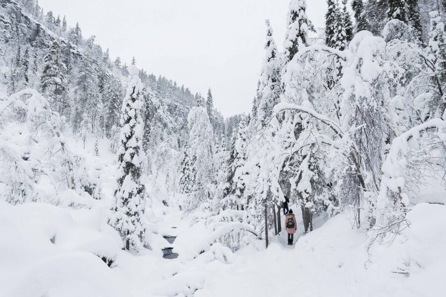 Rovaniemi: Frozen Waterfalls of Korouoma Canyon & Pro Photos - The 90-minute ride from Rovaniemi