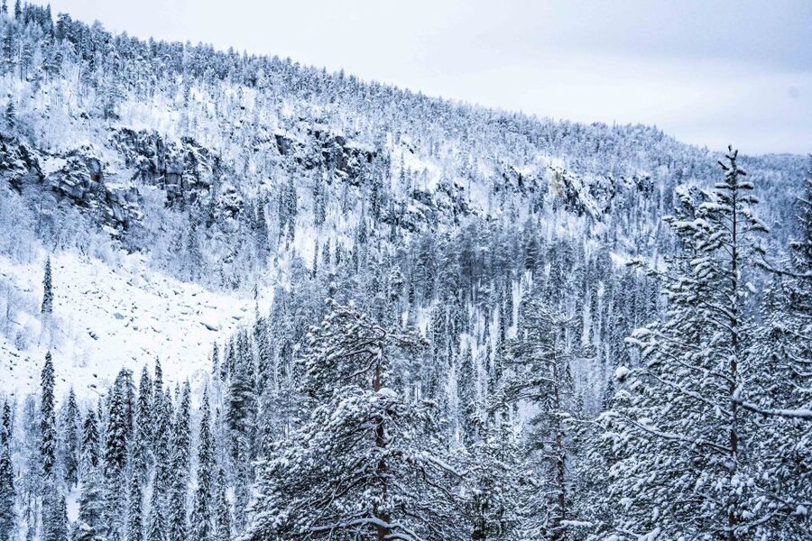 Rovaniemi: Frozen Waterfalls of Korouoma Canyon & Pro Photos - Professional photos that add real value