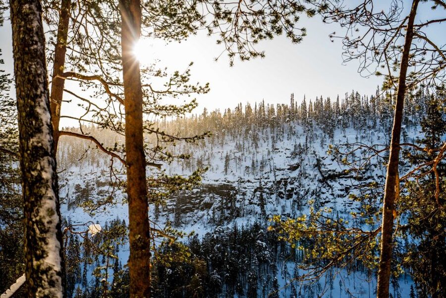 Rovaniemi: Frozen Waterfalls of Korouoma Canyon & Pro Photos - A forest BBQ beside the lean-to