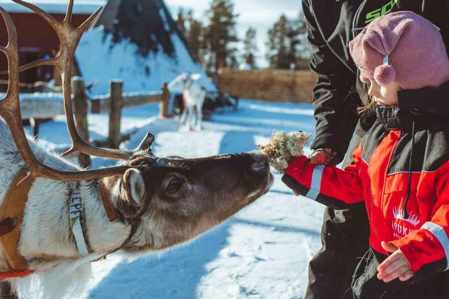 Rovaniemi: Full-Day Snow and Fun Activities - Key points to know before booking