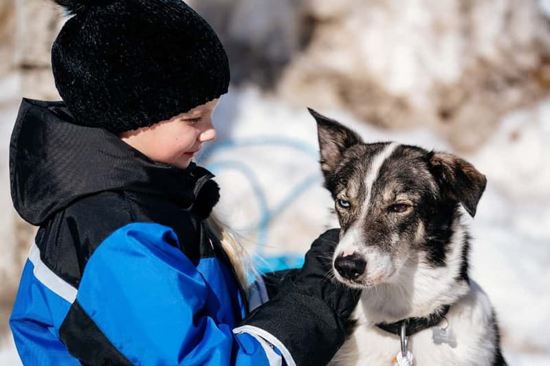 Rovaniemi: Full-Day Snow and Fun Activities - Huskies first, with a short but enjoyable ride