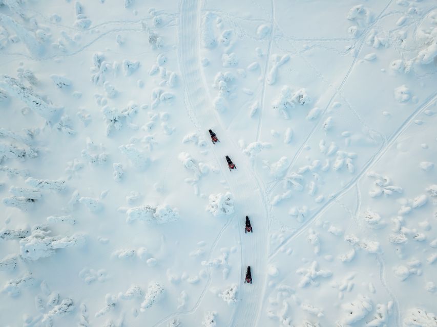 Rovaniemi: Full-Day Snowmobile Safari into the Wilderness - Key things to know before booking