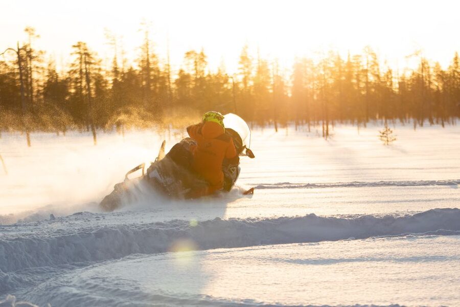 Rovaniemi: Full-Day Snowmobile Safari into the Wilderness - How much value do you get for $293?