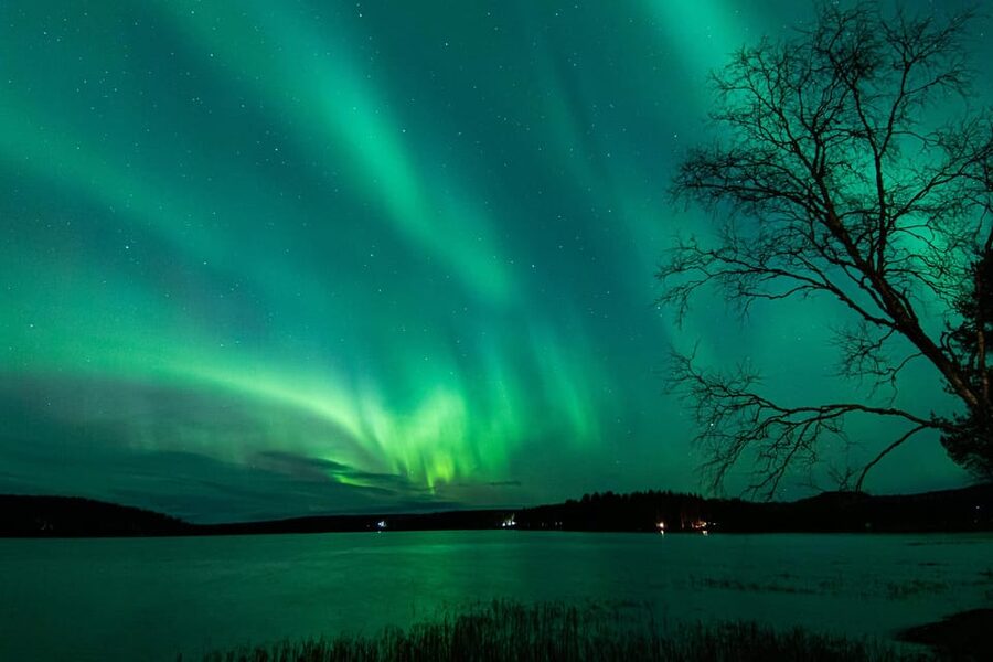 Rovaniemi: Guaranteed Aurora Hunting Tour with Local Guide - Key points to know before you book
