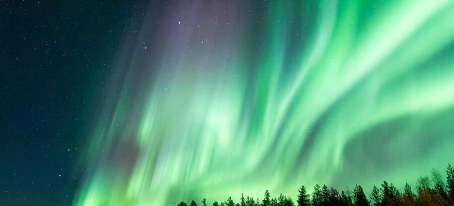 Rovaniemi: Guaranteed Aurora Hunting Tour with Local Guide - Photography help and warm hands
