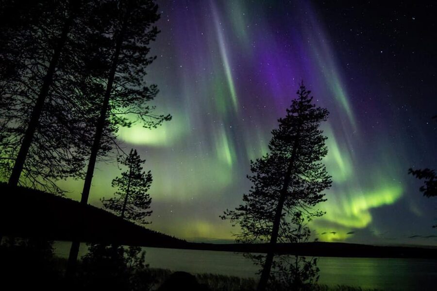 Rovaniemi: Guaranteed Aurora Hunting Tour with Local Guide - The value of $159 per person