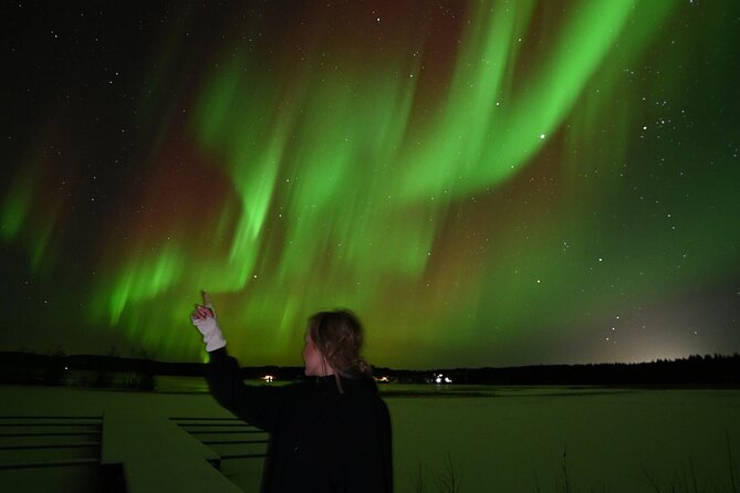 Rovaniemi: Guaranteed Northern Lights - Small Group & Photography - Is $181.84 a fair price?