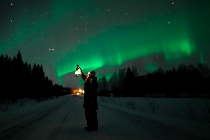 Rovaniemi: Guaranteed Northern Lights - Small Group & Photography - What the drive through Finnish Lapland is really for
