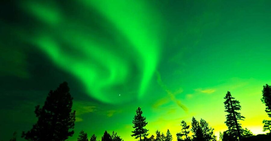 Rovaniemi: Guided Northern Lights Tour - Is $84 good value?