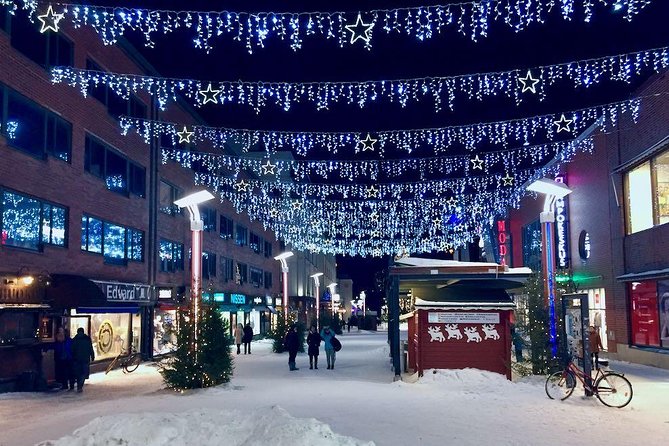 Rovaniemi Guided Tour and Santa Claus Village - The guide can make or break the day