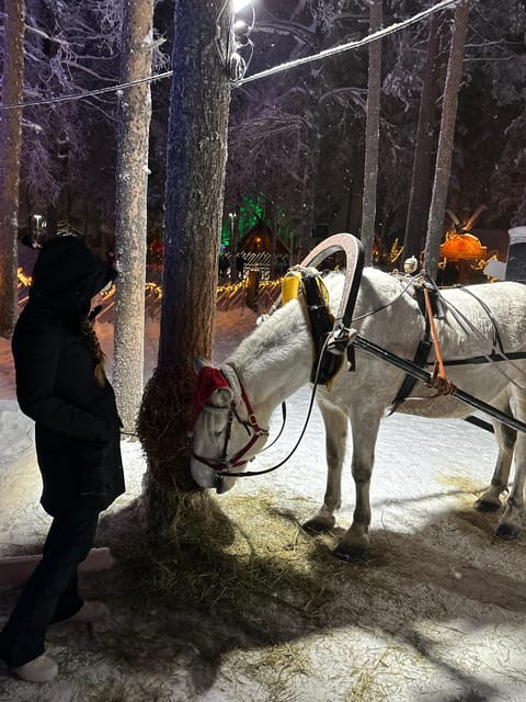 Rovaniemi: Guided Tour of Santa Claus Village - Crossing the Arctic Circle and finding the best photo stops