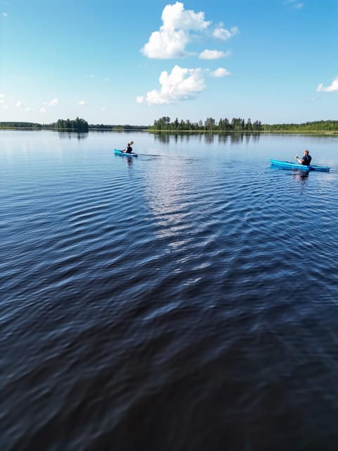 Rovaniemi: Guided Wilderness Kayaking Adventure - Is $117 a fair price?