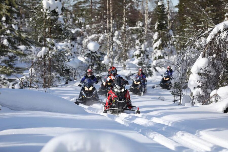Rovaniemi: Guided Wilderness Snowmobile Ride - Transport, timing, and what the two hours really contain