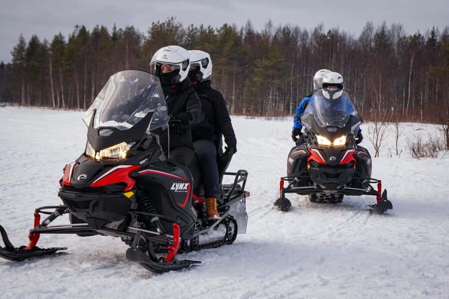Rovaniemi: Guided Wilderness Snowmobile Safari & Barbeque - Is $124 a good value?