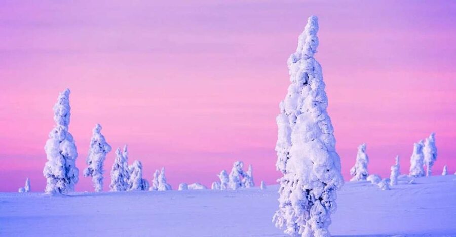 Rovaniemi: Half-Day Snowmobile & Ice Fishing Experience - Salmon, bread, and hot blueberry juice