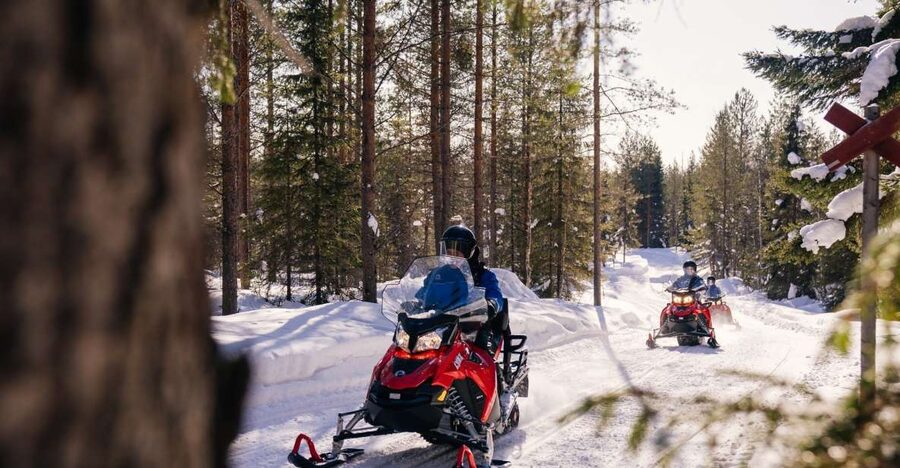 Rovaniemi: Half-Day Snowmobile Tour - Riding alone or sharing a snowmobile