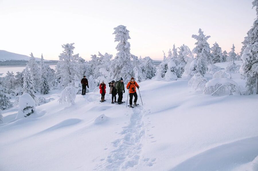 Rovaniemi: Hiking and Snowshoeing Adventure in Lapland - Quick points before you book