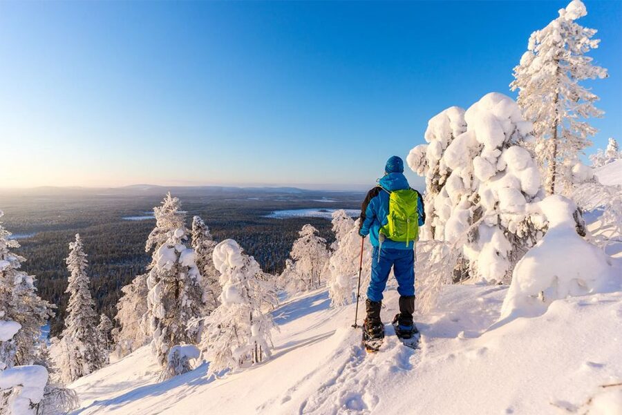 Rovaniemi: Hiking and Snowshoeing Adventure in Lapland - What this Rovaniemi snowshoe tour is really like