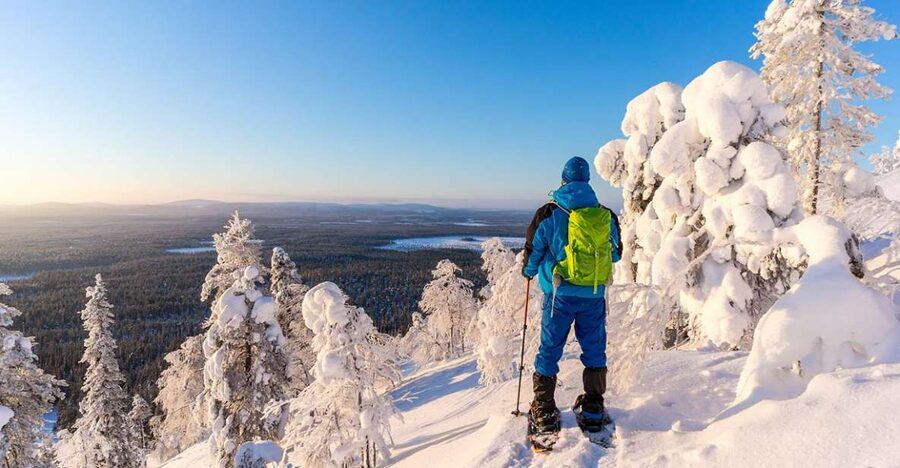 Rovaniemi: Hiking and Snowshoeing Adventure in Lapland - A warm cup of blueberry juice after the cold