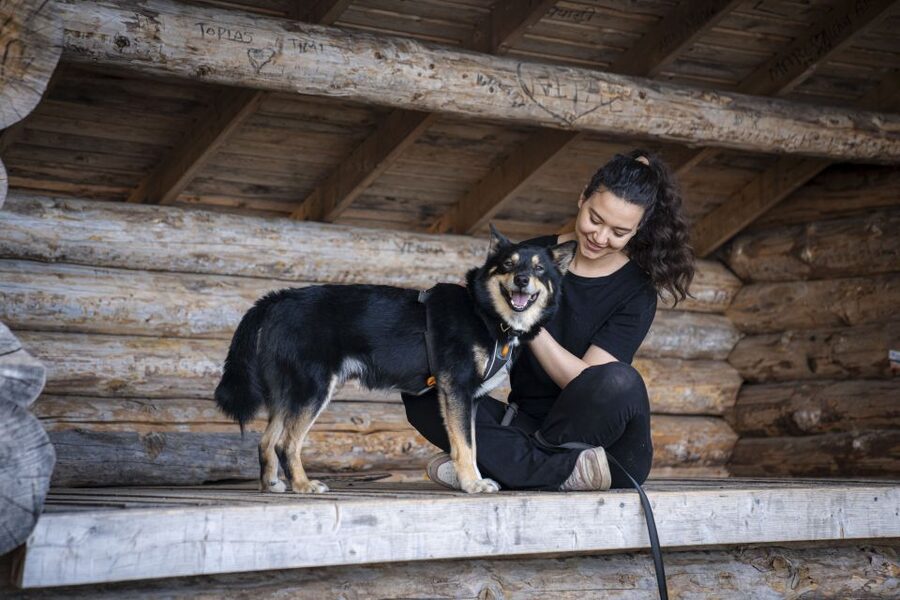 Rovaniemi: Hiking Experience with Lappish Dogs - Why this summer dog hike feels different