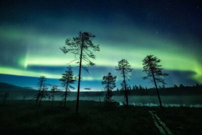 Horse Sleigh Ride under the Night Sky