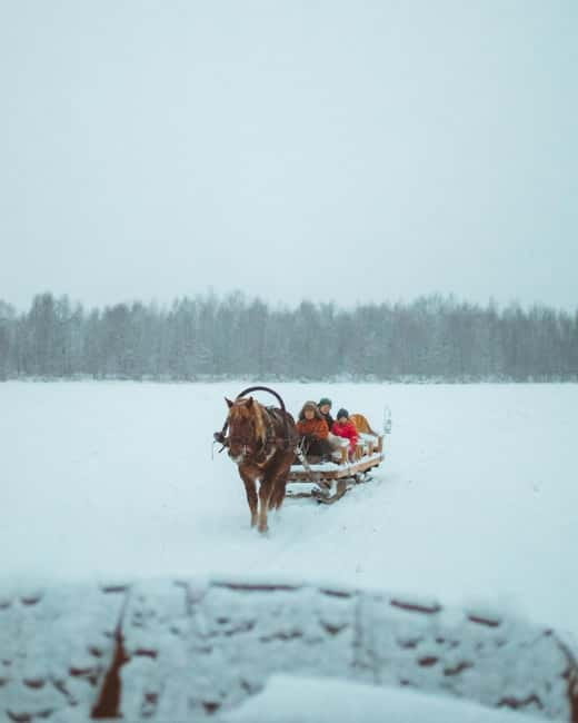 Rovaniemi: Horse Sleigh Ride under the Night Sky - Is the $185 price good value?