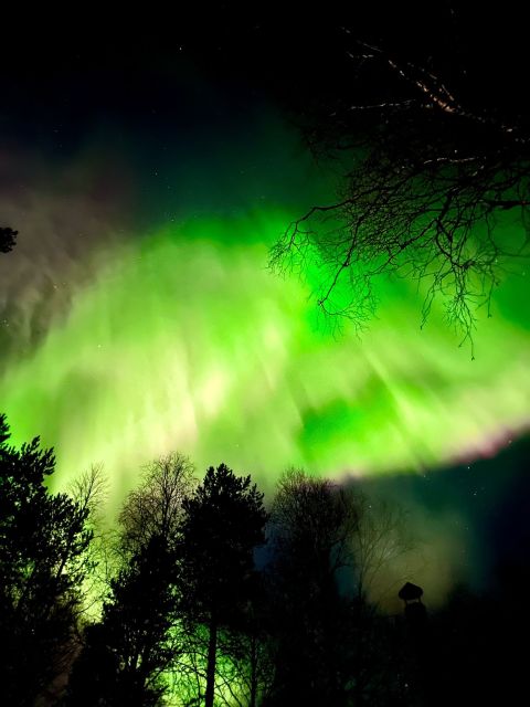 Rovaniemi Hunting Aurora at the Best Spots - Key points before you book